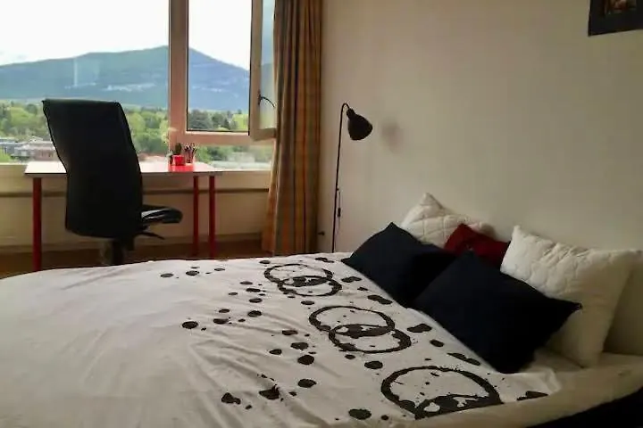 Appartement Central Furnished 2Br Rental In Genève Zwitserland
