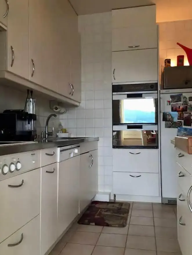 Central Furnished 2Br Rental In Genève Appartement