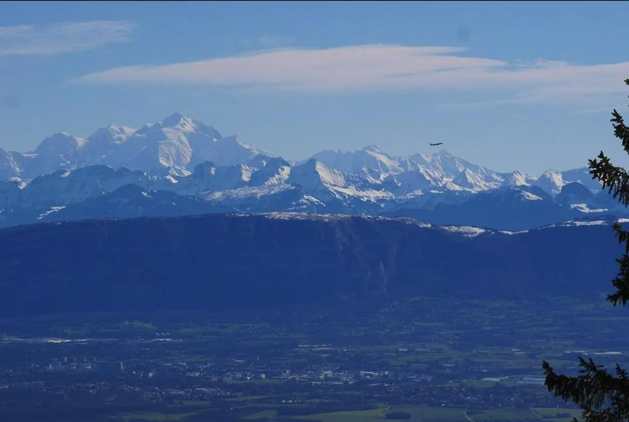 Appartement Central Furnished 2Br Rental In Genève